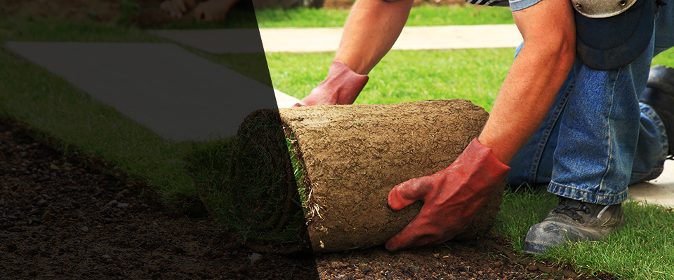 Freeland Landscapers